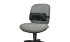 Fellowes Lumbar Supports lower back 